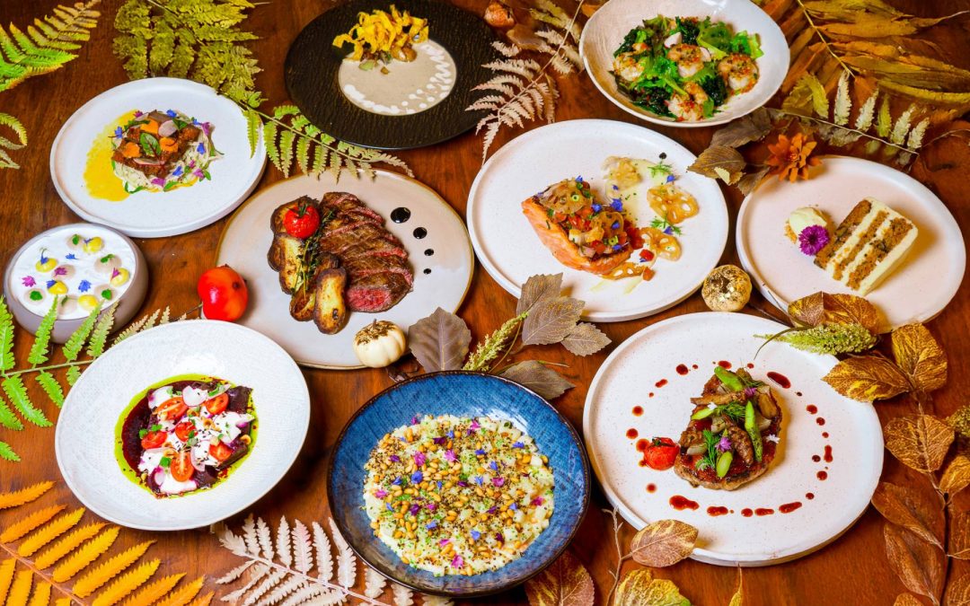 A FARM-TO-TABLE AUTUMN EXPERIENCE