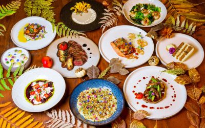 A FARM-TO-TABLE AUTUMN EXPERIENCE