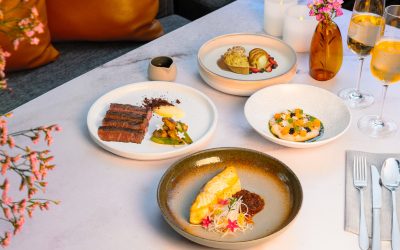 ELEVATED DAILY SET DINNER